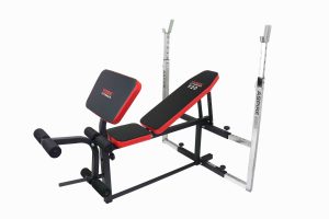 Upright Bench with Arm Curl